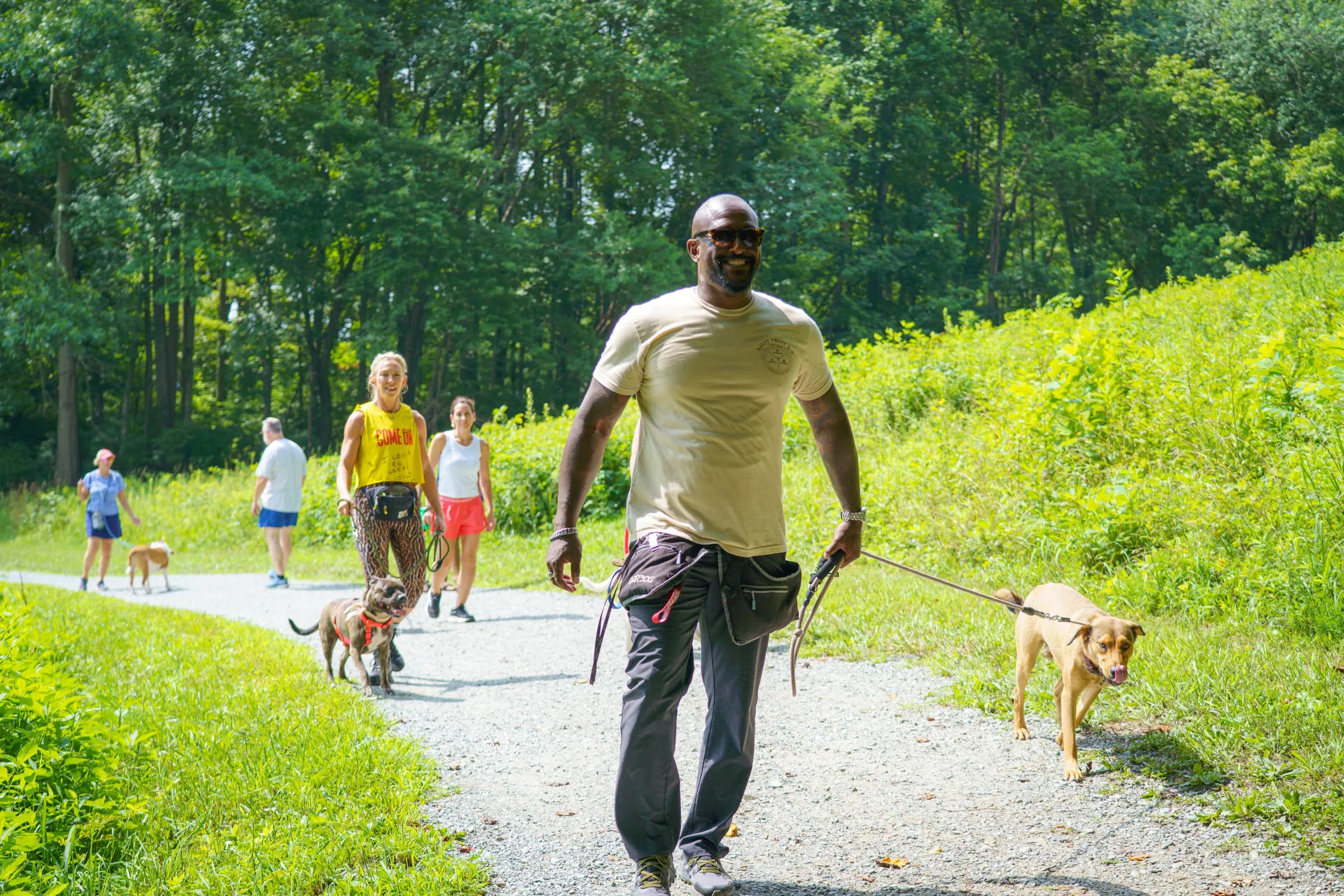 Jay walking a wooded gravel trail toward the camera on a pack walk, a tan dog on a long line beside him and handlers with their dogs following behind.