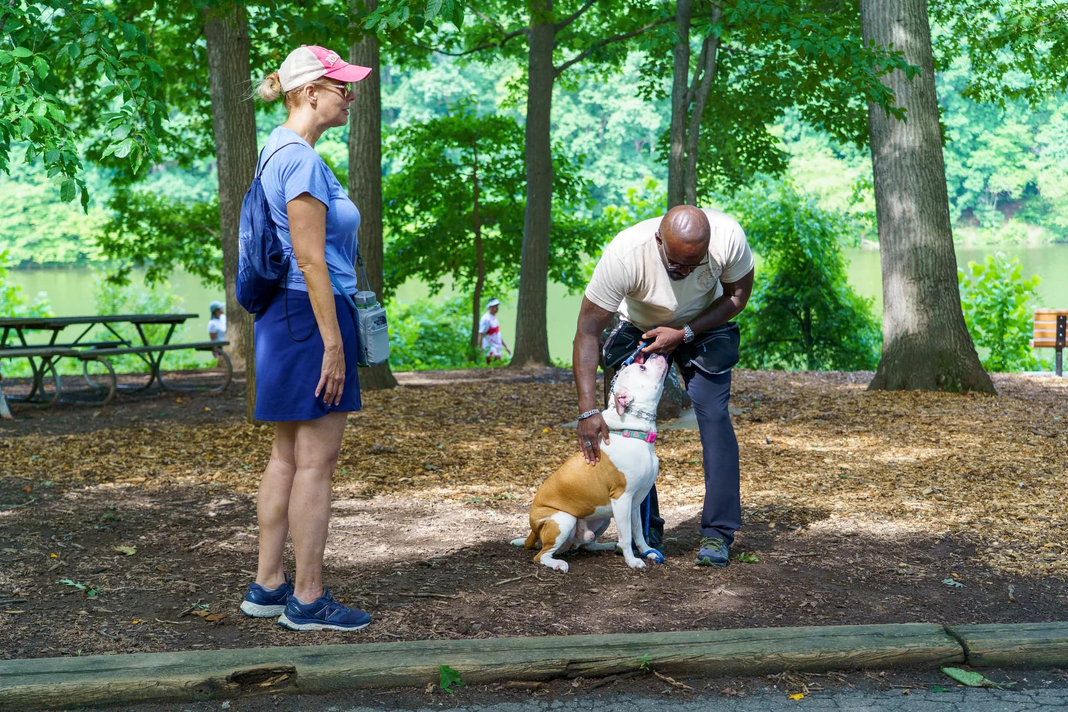 Jay adjusting a harness on a seated bulldog while its handler looks on at a shaded picnic area.